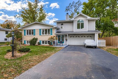 5904 Elm Street Lisle IL 60532