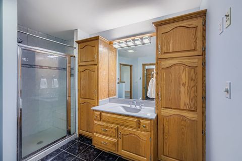 Tiny photo for 5904 Elm Street, Lisle, IL 60532 (MLS # 12447036)