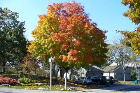 Tiny photo for 660 Old Barn Road #F-24, Lake Barrington, IL 60010 (MLS # 12456944)