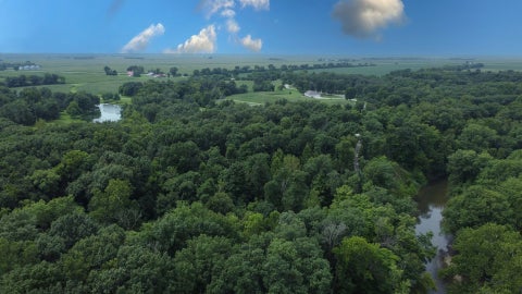 Tiny photo for 15571 Riverwood Drive, Danville, IL 61834 (MLS # 12733408)