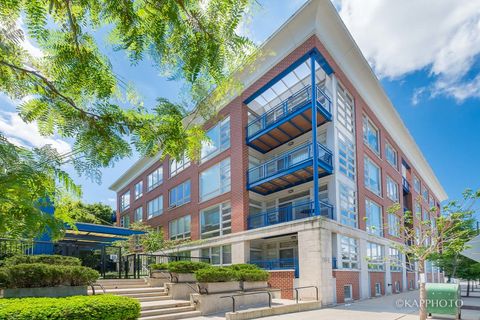 1151 W Washington Boulevard 102 Chicago IL 60607