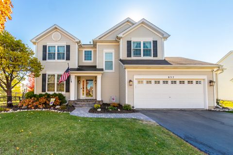 857 Great Falls Drive Volo IL 60073