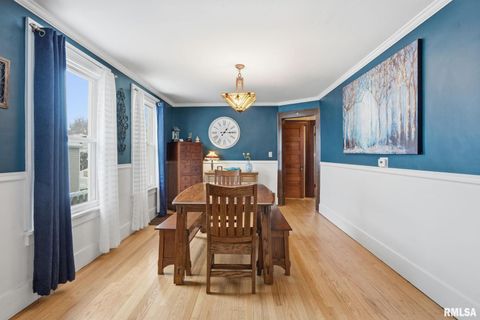 Tiny photo for 415 23RD Avenue, Moline, IL 61265 (MLS # QC4269776)