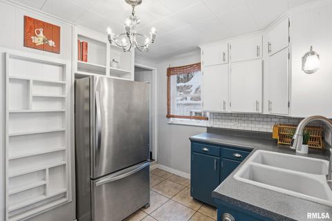 Tiny photo for 415 23RD Avenue, Moline, IL 61265 (MLS # QC4269776)