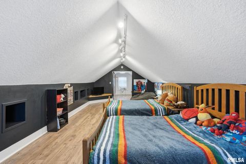 Tiny photo for 415 23RD Avenue, Moline, IL 61265 (MLS # QC4269776)