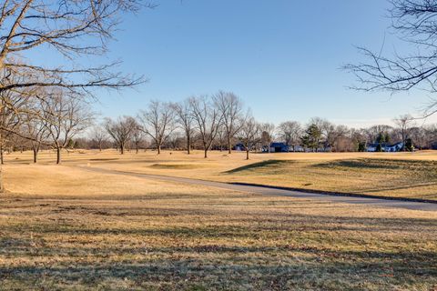 Tiny photo for 1147 Steeple View Drive, Long Grove, IL 60047 (MLS # 12615741)