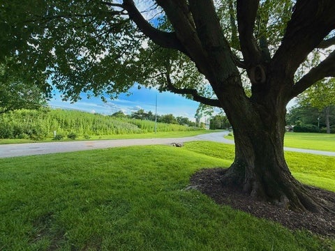 Tiny photo for 1108 Pearl Drive, Mahomet, IL 61853 (MLS # 12624418)