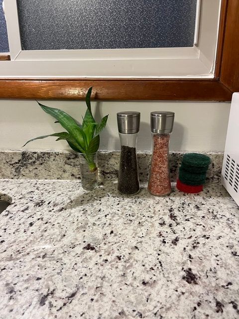 Tiny photo for 13515 S Baltimore Avenue, Chicago, IL 60633 (MLS # 12619175)