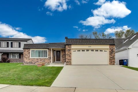 237 S Radcliffe Avenue Des Plaines IL 60016