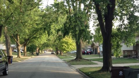 Tiny photo for Glenwood, IL 60425 (MLS # 12536388)