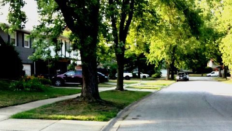 Tiny photo for Glenwood, IL 60425 (MLS # 12536388)