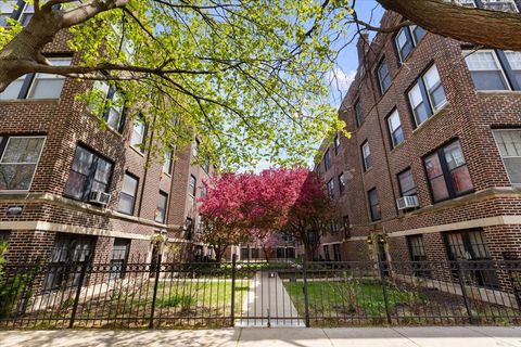 5331 S Cornell Avenue 3 Chicago IL 60615