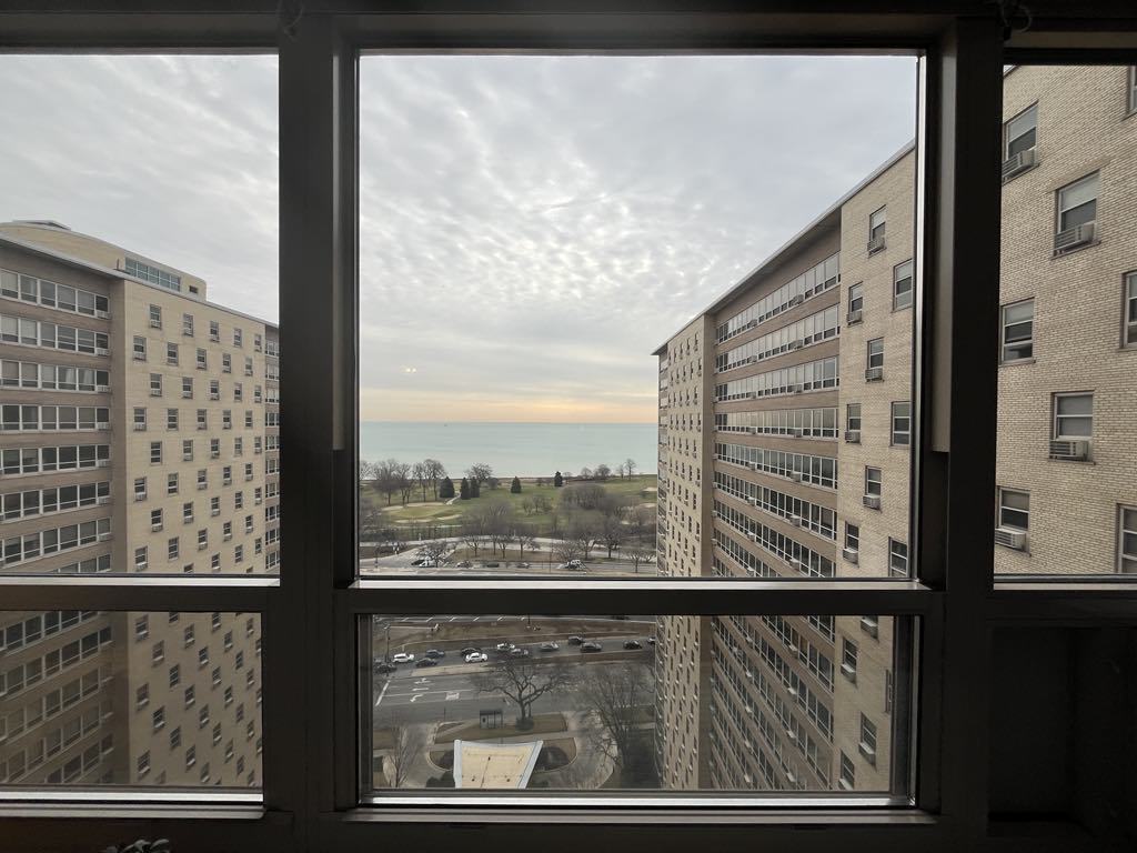 3950 N Lake Shore Drive 2017