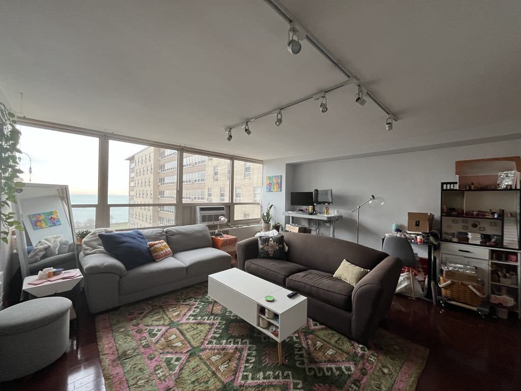3950 N Lake Shore Drive 2017