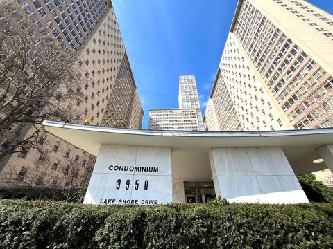 3950 N Lake Shore Drive 2017 Chicago IL 60613