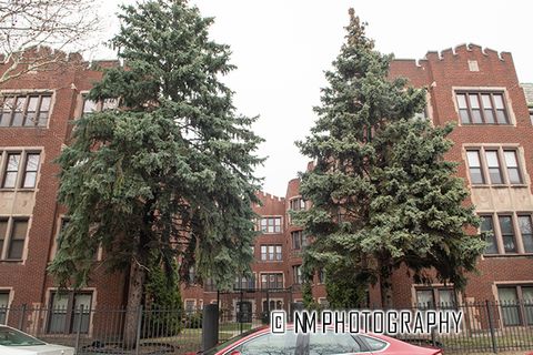 1942 E 74th Street 3B Chicago IL 60649