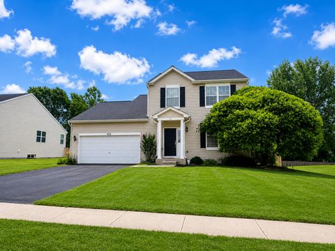 Photo of 633 Briarcliff Drive, Minooka, IL 60447 (MLS # 12709588)