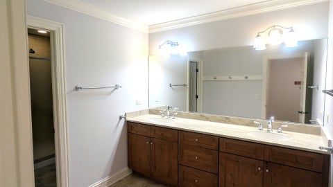 Tiny photo for Lisle, IL 60532 (MLS # 12740140)