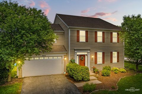 Photo of 461 Mooresfield Street, Elgin, IL 60124 (MLS # 12686991)
