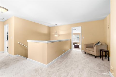 Tiny photo for 461 Mooresfield Street, Elgin, IL 60124 (MLS # 12686991)