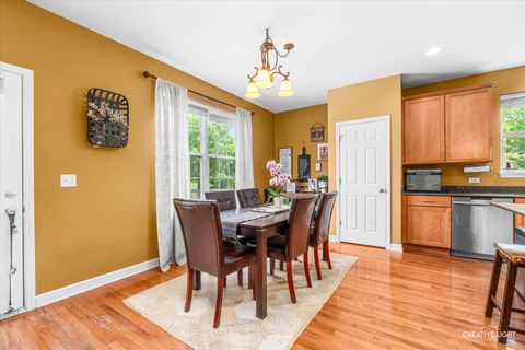 Tiny photo for 461 Mooresfield Street, Elgin, IL 60124 (MLS # 12686991)