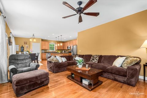 Tiny photo for 461 Mooresfield Street, Elgin, IL 60124 (MLS # 12686991)