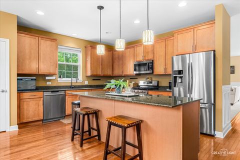 Tiny photo for 461 Mooresfield Street, Elgin, IL 60124 (MLS # 12686991)