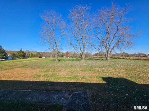 Tiny photo for 3830 State Route 147, Vienna, IL 62995 (MLS # EB460446)