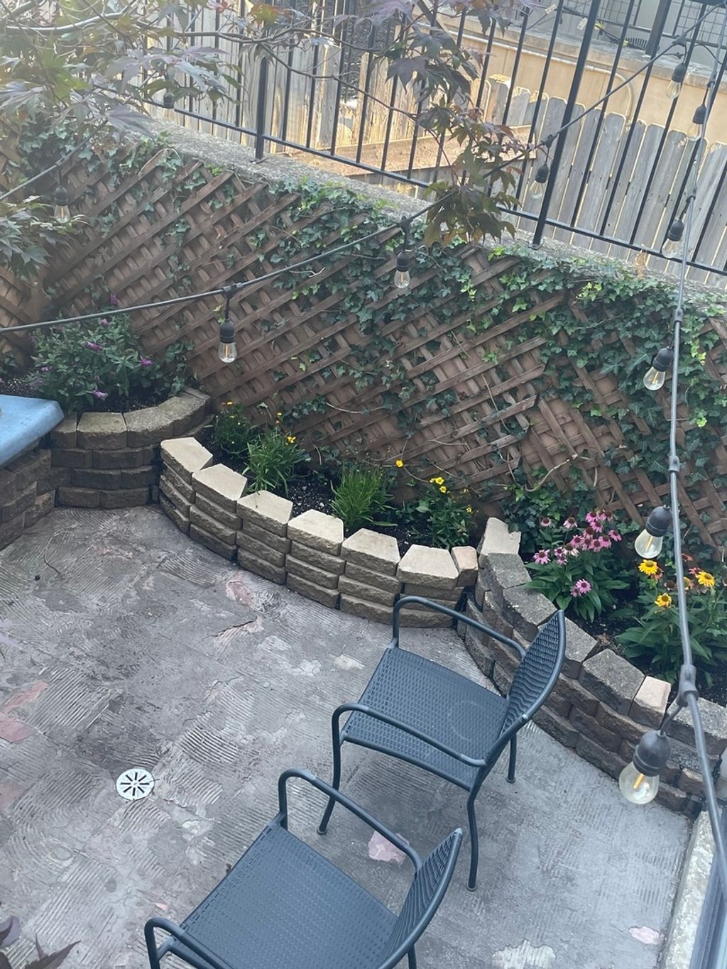 listing image 42