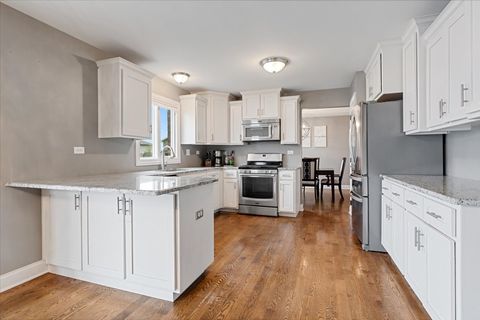 Tiny photo for 8667 Monaghan Drive, Tinley Park, IL 60487 (MLS # 12606502)