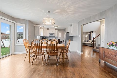 Tiny photo for 8667 Monaghan Drive, Tinley Park, IL 60487 (MLS # 12606502)