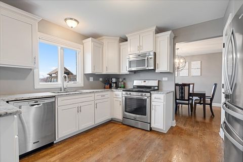 Tiny photo for 8667 Monaghan Drive, Tinley Park, IL 60487 (MLS # 12606502)