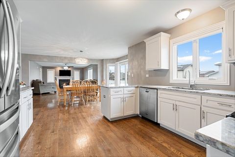 Tiny photo for 8667 Monaghan Drive, Tinley Park, IL 60487 (MLS # 12606502)