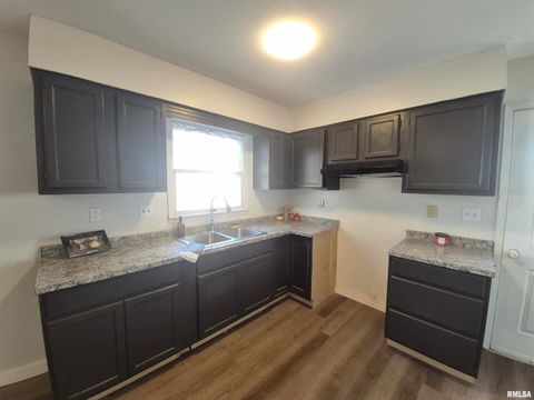 Tiny photo for 802 Dillard Street, Eldorado, IL 62930 (MLS # EB459992)