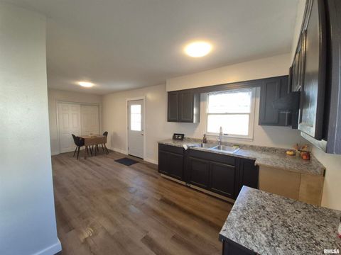 Tiny photo for 802 Dillard Street, Eldorado, IL 62930 (MLS # EB459992)