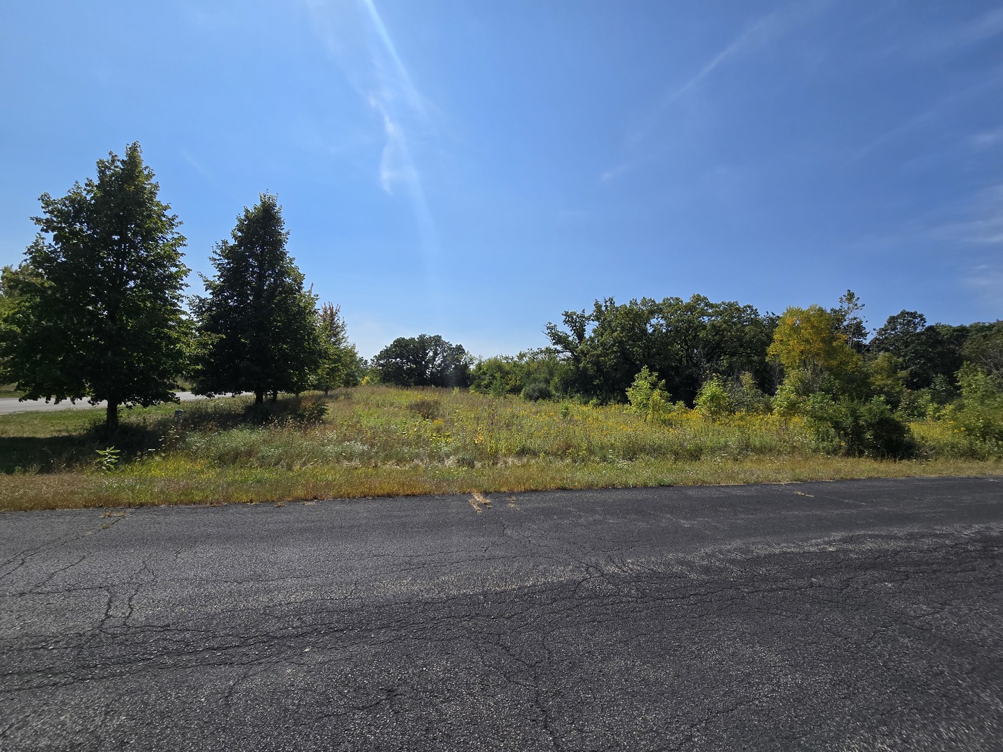 40342 N Belle Foret Drive