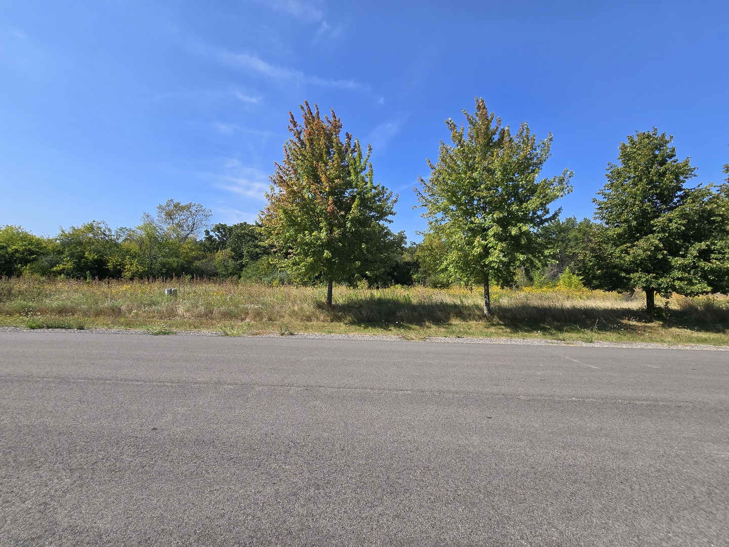 40342 N Belle Foret Drive