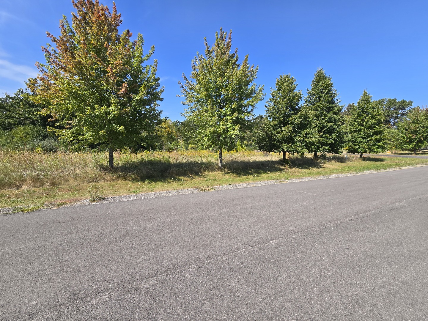 40342 N Belle Foret Drive