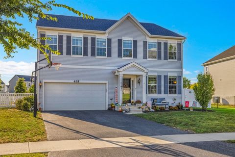 Photo of 435 Fawn Drive, Oswego, IL 60543 (MLS # 12544012)