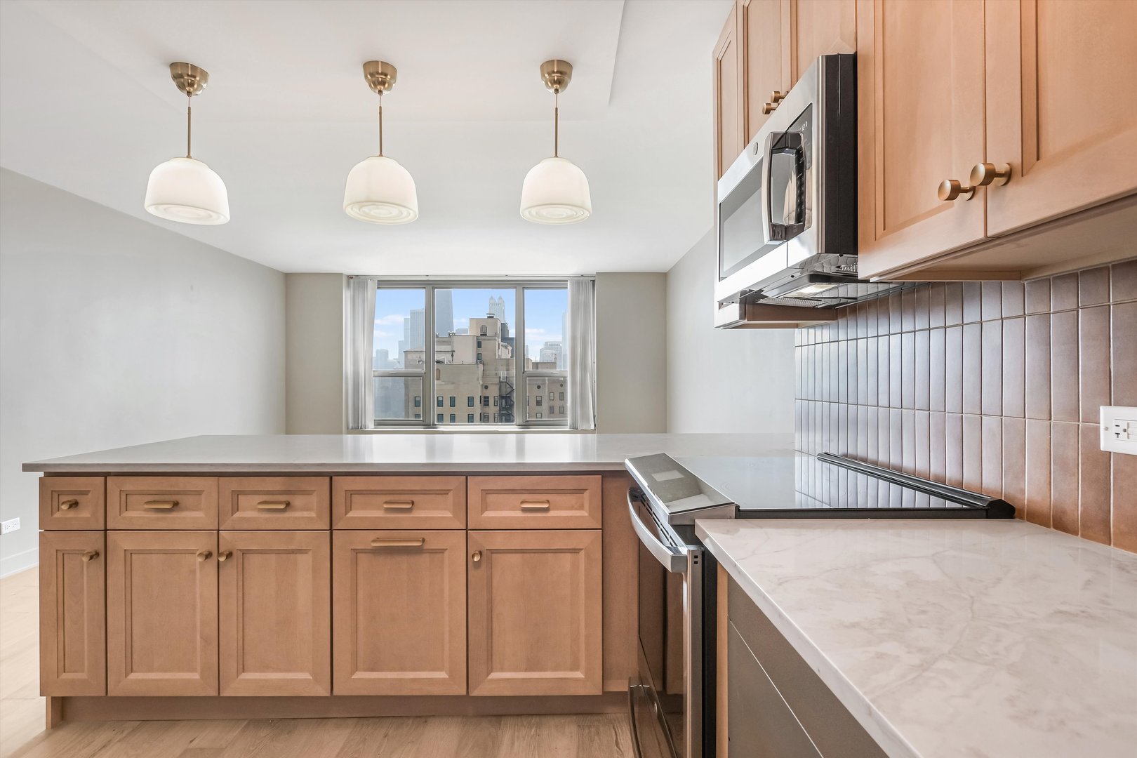1550 N Lake Shore Drive 29D