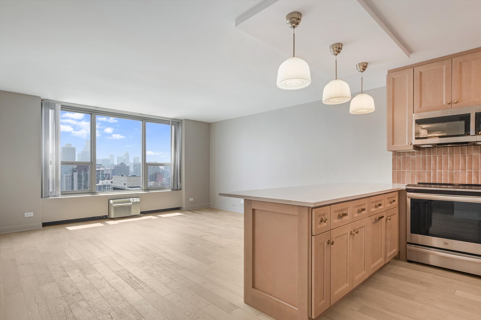 1550 N Lake Shore Drive 29D