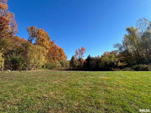 Tiny photo for 1591 N Reed Station Road, Carbondale, IL 62901 (MLS # 12762305)