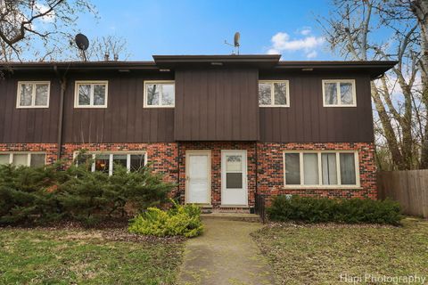 1516 Shermer Road Northbrook IL 60062