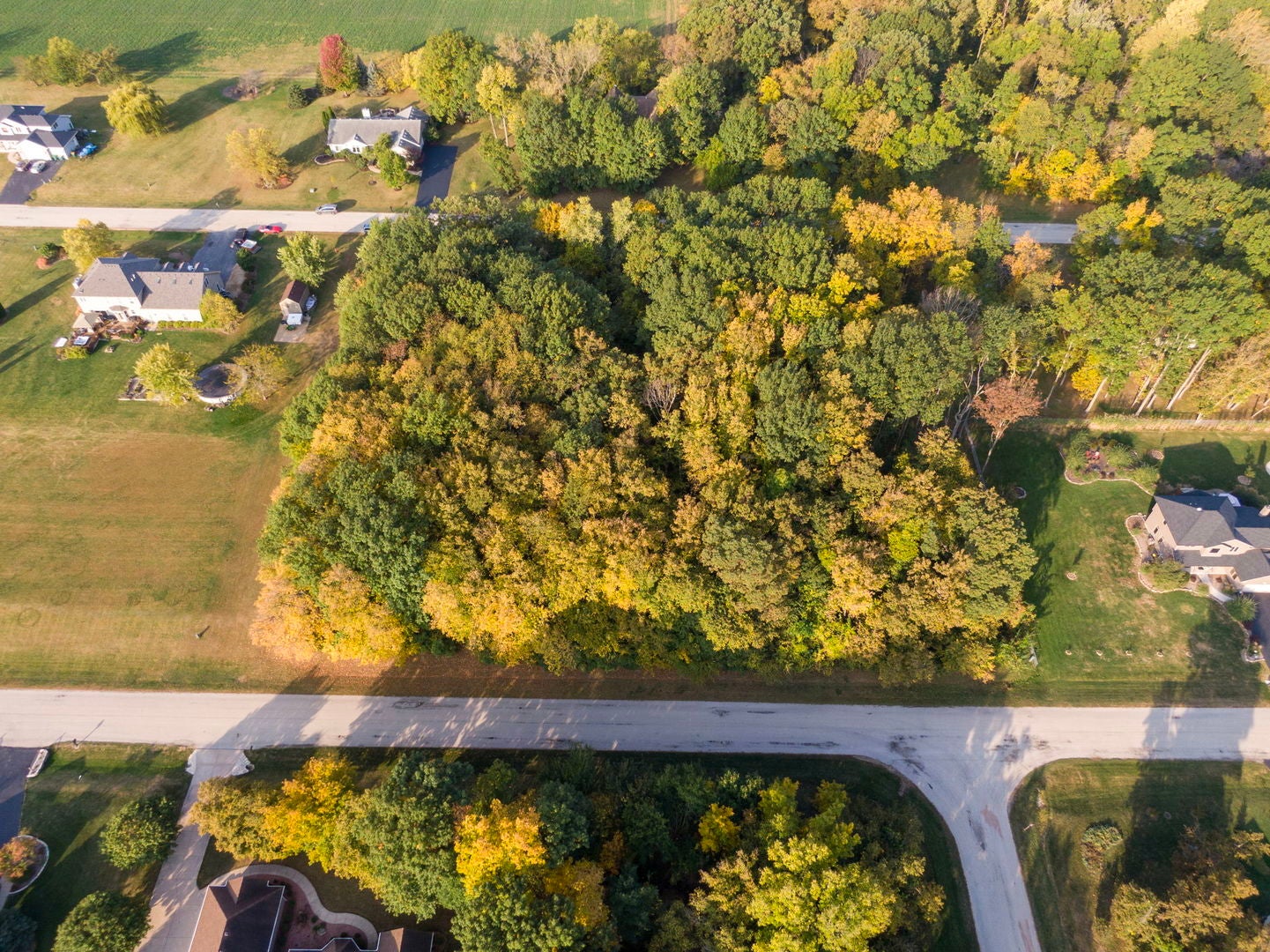 210 Hickory Lane