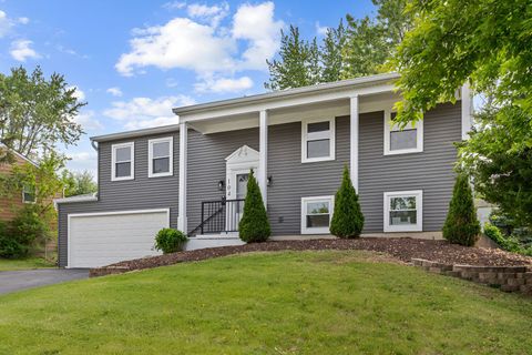104 N Braintree Drive Schaumburg IL 60194