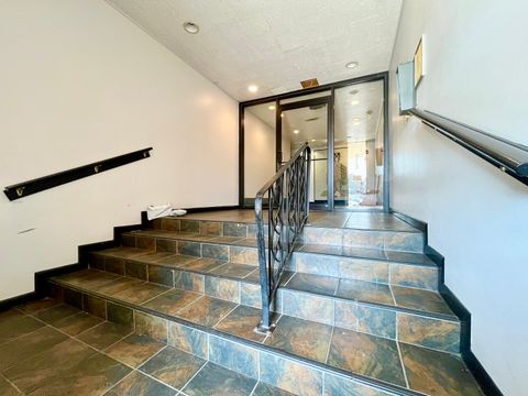 Tiny photo for 9725 S Karlov Avenue #501, Oak Lawn, IL 60453 (MLS # 12471400)