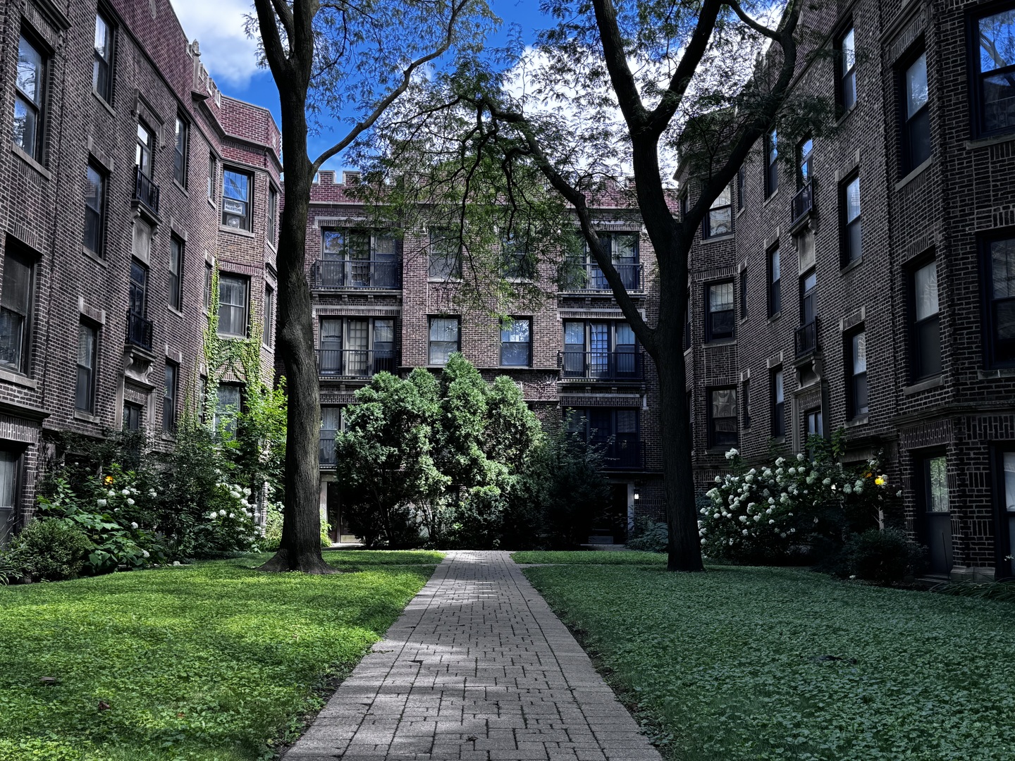 6249 N Sheridan Road 5