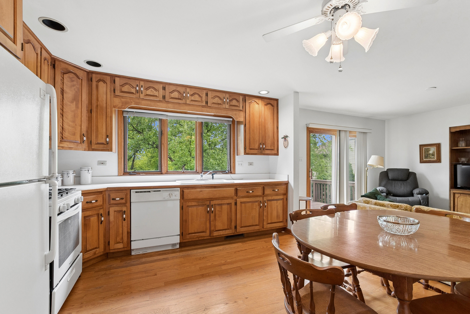 11135 Shenandoah Drive