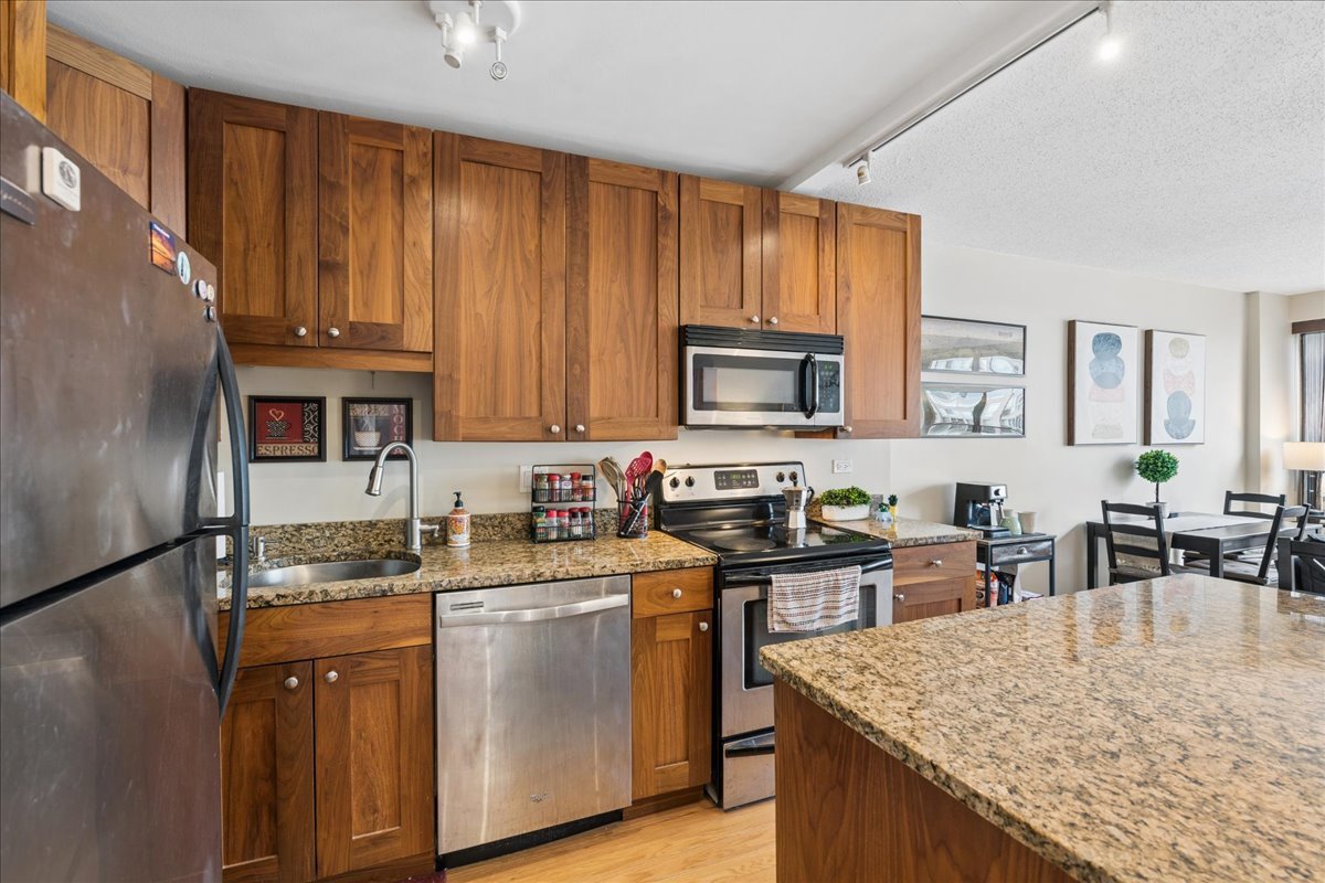 2930 N Sheridan Road 1009