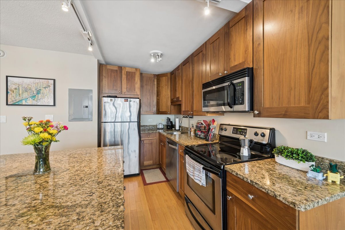 2930 N Sheridan Road 1009